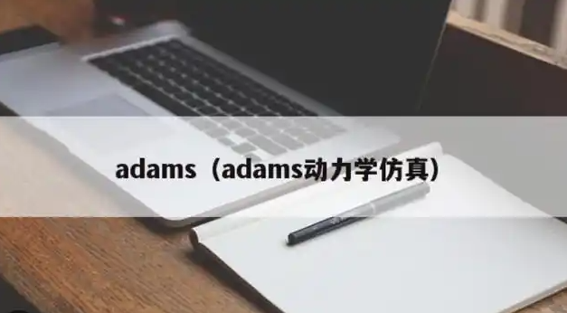 adams证书安装教程